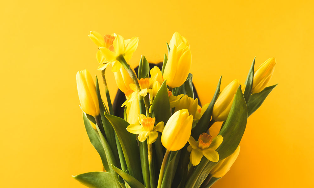 Why We Love Yellow Flowers