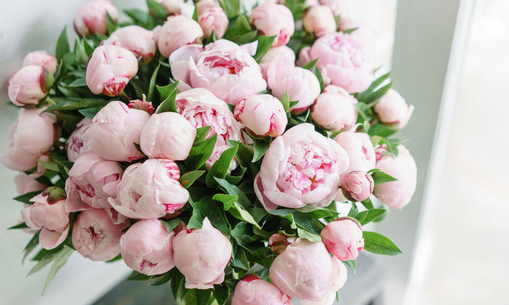 Discover the 10 most popular seasonal flowers for summer brides and their symbolic meanings.