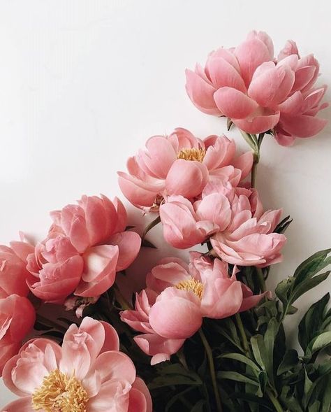 June - Peony Love Workshop - Fri 14th and Sat 15th May