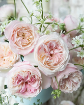 Scent & Sensibility: Fragrant Floral Arrangements 🌿