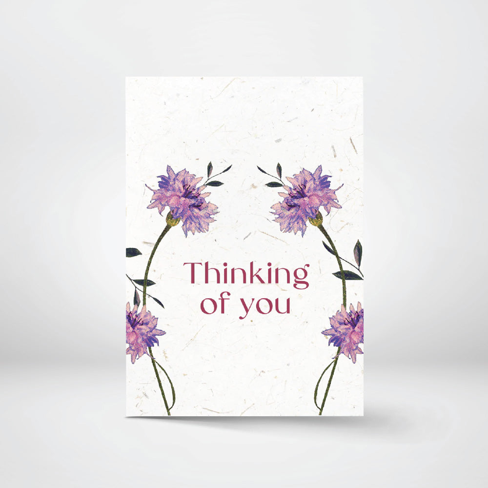 Greeting Cards