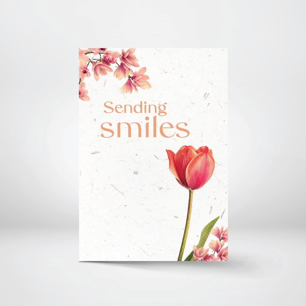 Greeting Cards