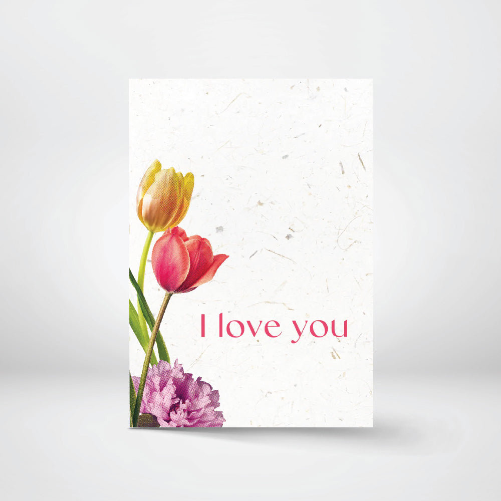 Greeting Cards