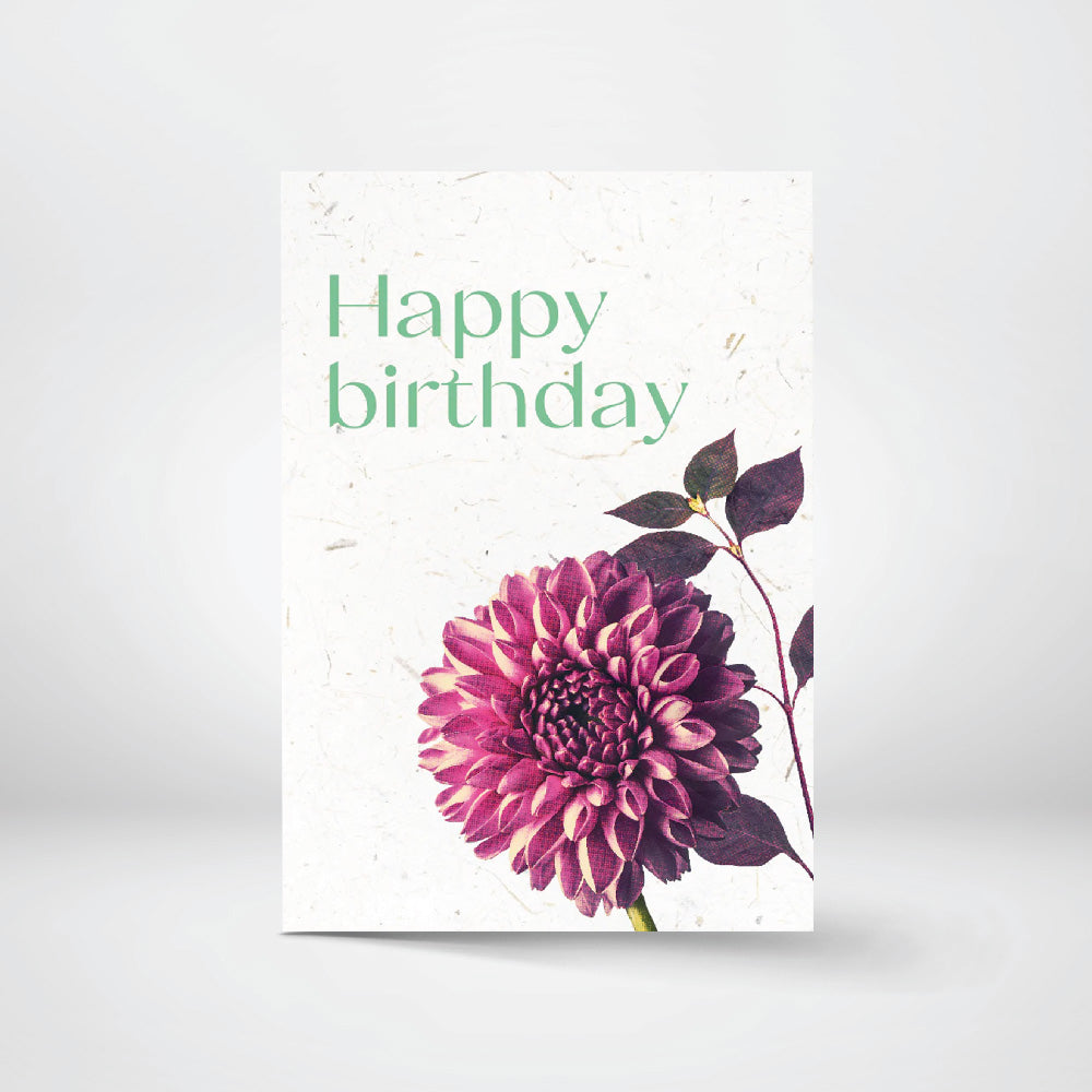 Greeting Cards